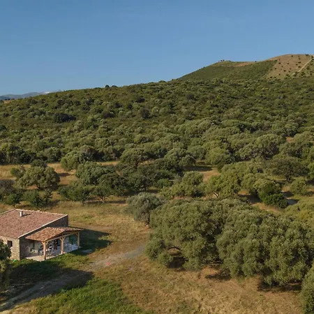 Holiday home La Bergerie De Lostriconi Havre De Paix Entre Riviere Et Maquis Palasca (Corsica)